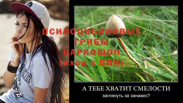 MDMA Premium VHQ Липки